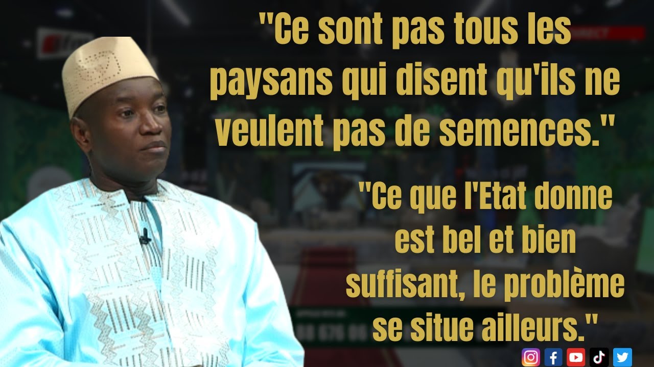 Aly Nouille Ndiaye : les semences certifiées déjà distribuées aux paysans