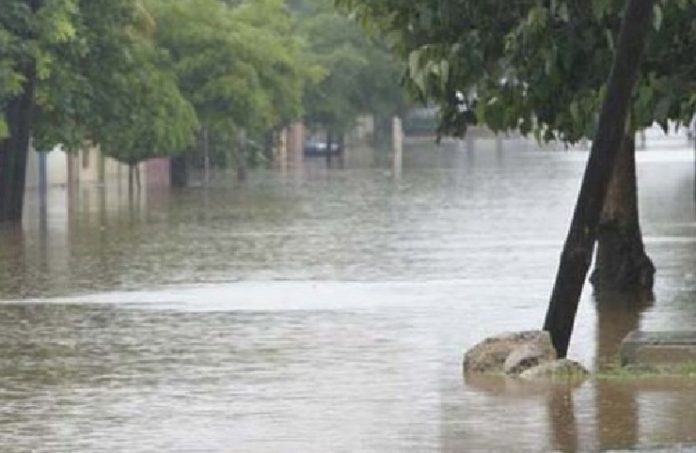 Weekend pluvieux à Ziguinchor : 52 mm enregistrés au poste pluviométrique de Niamone