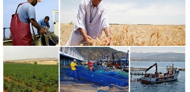 MOUVEMENT D’HUMEUR DANS LE SECTEUR PRIMAIRE : Vers une paralysie des secteurs de l’agriculture, de l’élevage et de la pêche à partir de la semaine prochaine