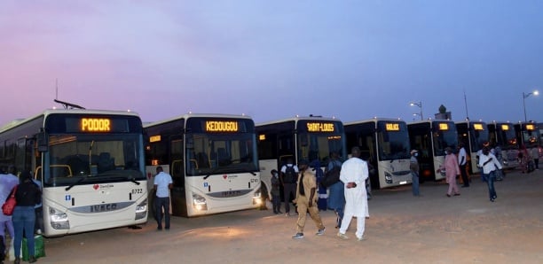 Tabaski : Face aux tarifs exorbitants des transporteurs, Dakar Dem Dikk déploie 100 bus à la gare des Baux-Maraichers