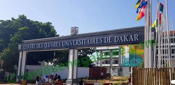 STATUT, RECONNAISSANCE INSTITUTIONNELLE DE 70% DES ENSEIGNANTS DU SUPÉRIEUR : Les vacataires des universités dans la rue le 3 août à Dakar