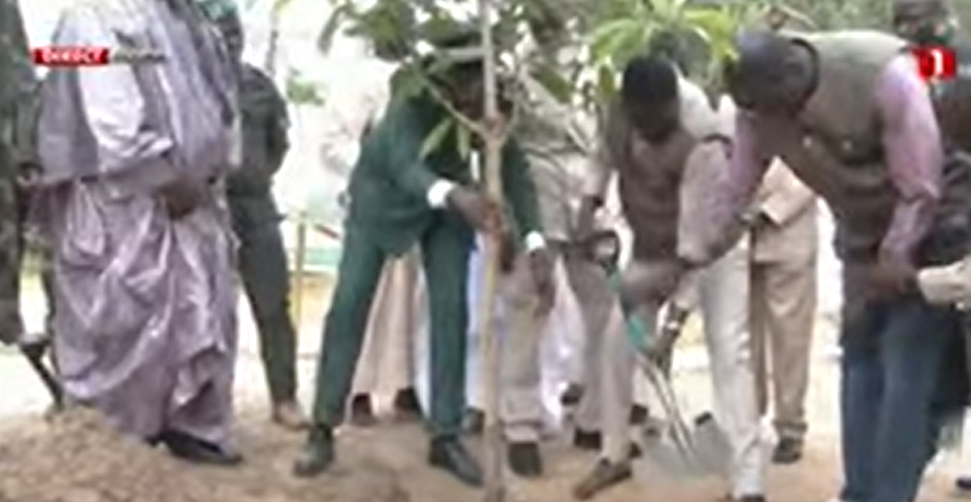 JOURNEE NATIONALE DE L'ARBRE : Bassirou Diomaye Faye plante son manguier et donne des assurances pour le Magal de Touba