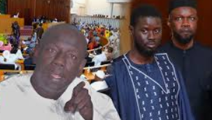 Abdoulaye Wilane sort l’arme lourd et écrase Sonko « Gouv. Tapalé, Tafanto, Jubedi laniu yoor »