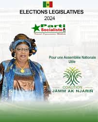 Investitures socialistes