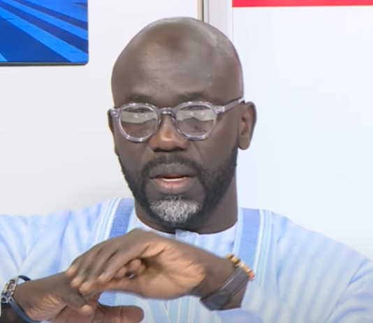 POURSUIVI POUR DIFFUSION DE FAUSSES NOUVELLES : Cheikh Yérim Seck à un pas de Rebeuss, son dossier tout droit en instruction ?