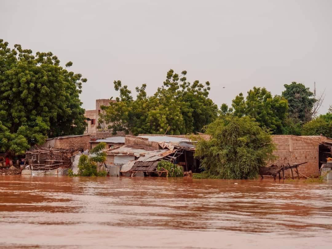 CRUE DU FLEUVE SÉNÉGAL 2024 : VIGILANCE ORANGE : L’Omvs active la vigilance orange sur toutes les localités riveraines avec une tendance à vigilance rouge dans certaines zones