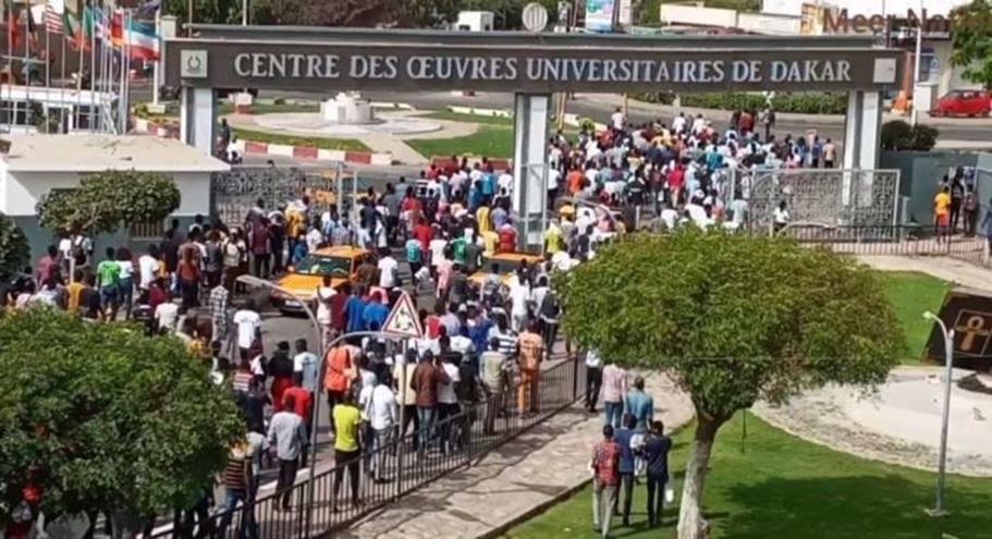 L’ENSEIGNEMENT SUPÉRIEUR AU BORD DE LA CRISE : Le Saes dénonce la situation alarmante dans les universités publiques et le non-respect des accords