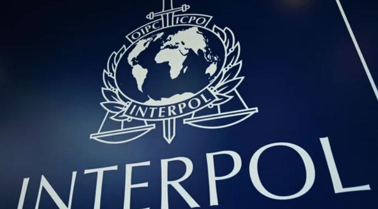 Sénégal/Répression de la cybercriminalité : Opération "Serengeti" 8 personnes arrêtées par Interpol dans le cadre d'une escroquerie d'une valeur de 3 milliards 700 millions FCFA