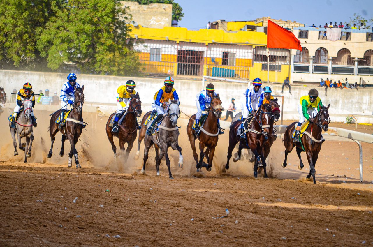 Deuxième journée des courses hippiques de la saison 2024-2025 déroulée à l’hippodrome de Tivaouane ce dimanche 29 décembre 2024