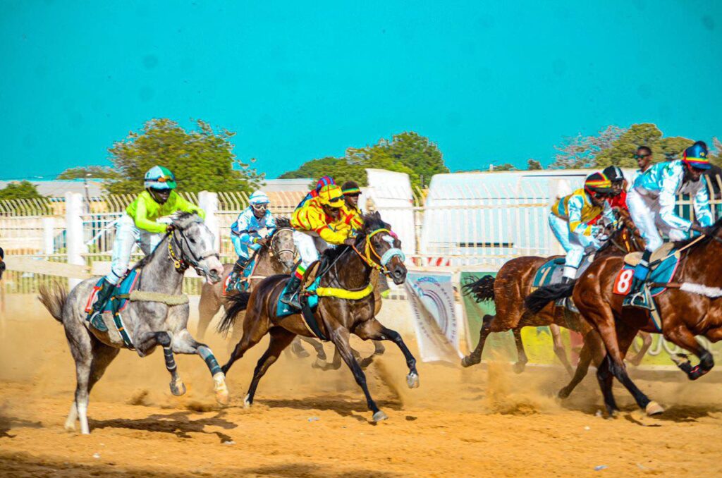 Les résultats de la 4e journée des courses hippiques ce dimanche à l’hippodrome Ndiaw Macodou Diop de Thiès