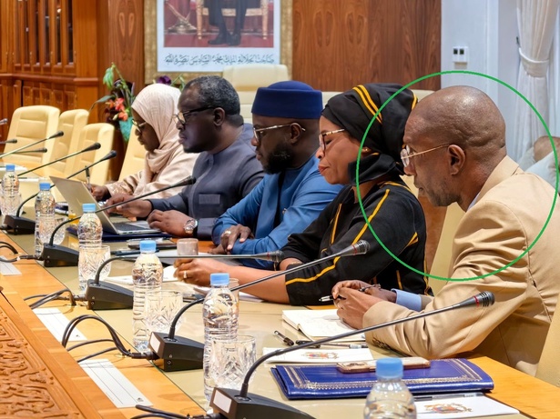 Assemblée : El Malick Ndiaye a nommé  le journaliste et chercheur Barka Ba comme conseiller spécial chargé de l’intégration africaine.