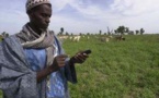 Week-end de galère pour les Dakarois à cause de Orange, Sde et Senelec