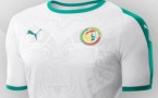 Officiel – Puma dévoile le nouveau maillot des Lions (Extérieur)