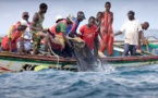 ​Mbour : sans nouvelle de 9 pêcheurs partis en mer depuis le 26 avril