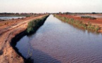 VALLEE DU FLEUVE SENEGAL: L’agriculture perd 25,5% de ses financements…Matam et Bakel seules bénéficiaires des prêts pour le matériel agricole