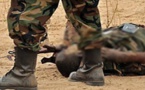 Casamance : Deux militaires tués dans une attaque armée