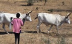 Goudomp : Un berger tué par balle