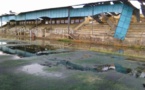 DEVENU UN CHAMP DE RUINES : Il faut sauver le stade Me Babacar Sèye