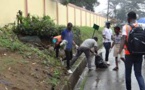 Éco-citoyens:Comment organiser une opération de ramassage des déchets sur la voie publique chaque dimanche?