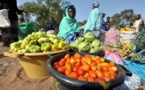 Insécurité alimentaire et crise du Covid-19: La Fao prédit des lendemains difficiles pour le Sénégal