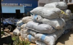 La gendarmerie saisit 15 tonnes de tabac d’une valeur de 67,5 millions de F Cfa