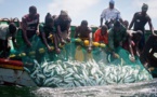 DE NOUVEAUX CHALUTIERS AYANT DES ANTÉCÉDENTS DE PÊCHE ILLÉGALE MENACENT LA PECHE SENEGALAISE : La Fondation internationale de la justice environnementale déchire les licences de Alioune Ndoye