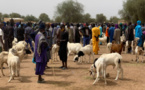 GROSSES CRAINTES SUR L’APPROVISIONNEMENT DU MARCHÉ EN MOUTONS