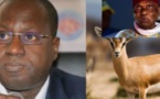 Affaire des gazelles mortes : Le Pds traine Abdou Karim Sall devant le procureur