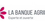 Banque agricole : Une caissière fait main basse sur 94 millions