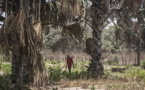 FORÊT CLASSÉE DE BLAZ - DEUX JEUNES DISPARUS DANS UNE ATTAQUE ARMÉE