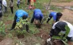 10.000 jeunes recrutés pour un «Sénégal vert»