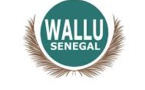 Lancement «Grande coalition Wallu Sénégal» today