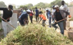 Barth participe au désherbage du cimetière