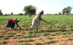 THINK TANK SUR L’ACCES DES FEMMES AUX RESSOURCES ECONOMIQUES La présidente des femmes chefs d’entreprise flétrit la politisation des financements