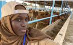 Aïssatou Faye,la fille de Mansour Faye répond à ses détracteurs: sa ferme de 50 vaches « n’est que le début »