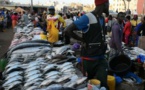 PASSATION DE SERVICE AU MARCHÉ CENTRAL AU POISSON DE PIKINE: Des injures et empoignades éclatent à cause de l'idée d'un comité de gestion