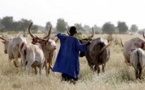 Journée de l’élevage à Tamba : 10 millions et 5t de riz