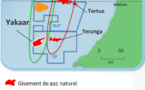 LES EUROPEENS JETTENT DES REGARDS AVIDES SUR NOS RESSOURCES: L'Allemagne, la France, l'Italie... soudainement attirées par le gaz naturel au Sénégal