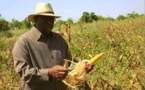 Macky «agriculteur et éleveur» aujourd’hui