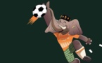 CAN 2023 : « Akwaba » la mascotte de la Coupe d’Afrique des nations dévoilée