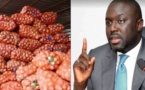 Approvisionnement du marché en oignons : Abdou Karim Fofana annonce l’arrivée de 14000 tonnes entre le 11 et le 25 août