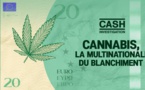 Cannabis, la multinationale du blanchiment (intégrale)- Cash investigation