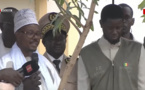 TOUBA : SÉTAL SUNU REEW REBOISEMENT ,le président Diomaye Faye hôte de Serigne Mountakha