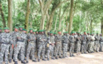 Journée nationale de l'arbre : La lettre Ouverte des Techniciens des Eaux et Forêts, au Président de la République