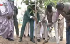 JOURNEE NATIONALE DE L'ARBRE : Bassirou Diomaye Faye plante son manguier et donne des assurances pour le Magal de Touba