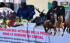 SESSION DE FORMATION DES JOURNALISTES SPORTIFS AUX COURSES HIPPIQUES : Une journée d'apprentissage et de familiarisation au Haras national