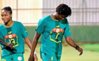 EQUIPE NATIONALE FEMININE :  Les Lionnes balayées par le Maroc en amical (7-0)