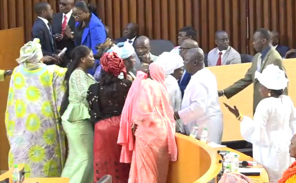 SCENE DE PUGILAT A L’ASSEMBLEE NATIONALE: Cheikh Bara Dolli et Anna Poupaye Gomis s’empoignent, Mame Diarra Fam assommée