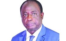 Ibrahima Macodou Fall et Mariata Basse libres après…